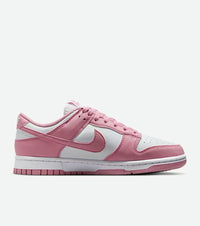 Nike Dunk Low Next Nature  - Damenschuh