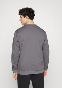 adidas Entrada 22 Sweatshirt Grau