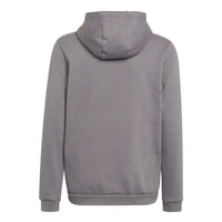 Adidas  Entrada 22 Hoody Grau - (HB0578)